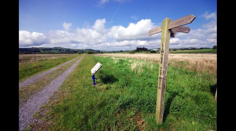 Ystwyth Trial on Cors Caron Nature Reserve