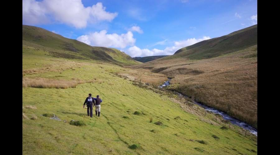 Walking in the Cambrian Mountains